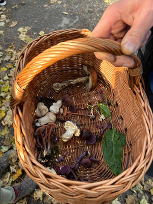 "The Forager Within" Walk, Forage & Lunch 02/05/25